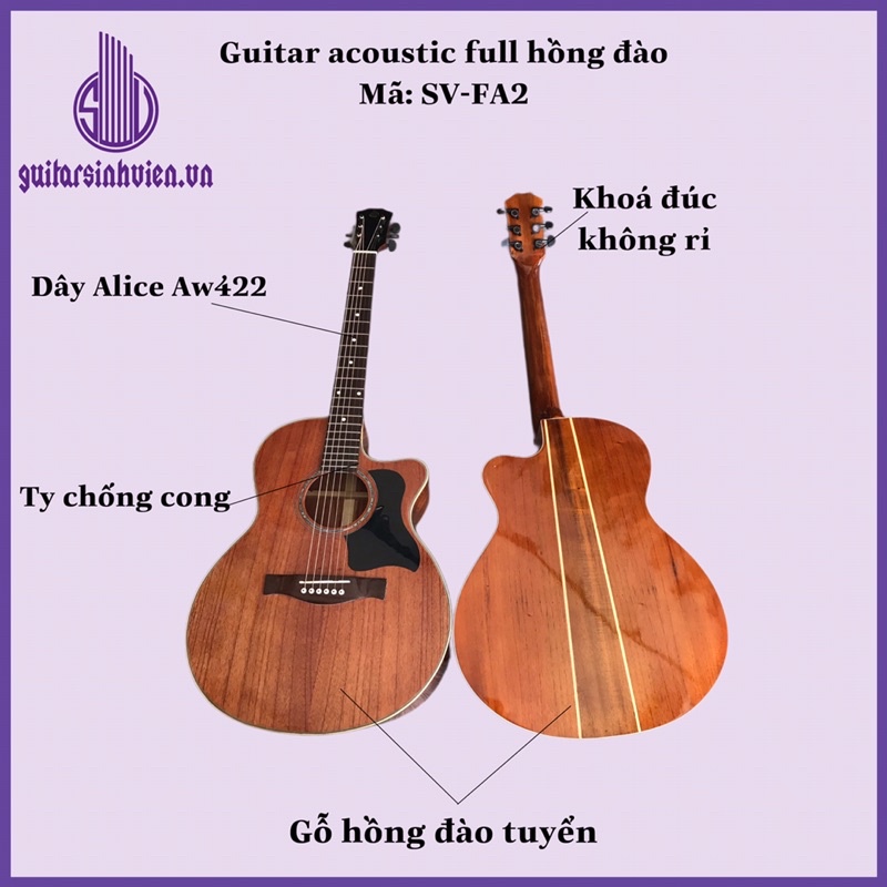 Đàn guitar acoustic gỗ thịt 100% - Đàn chính hãng guitarsinhvien.vn - Tặng 8 phụ kiện