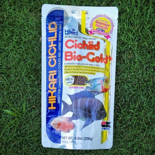 Cám hikari | thức ăn cho cá hikari cichlid bio-gold plus mini 250g