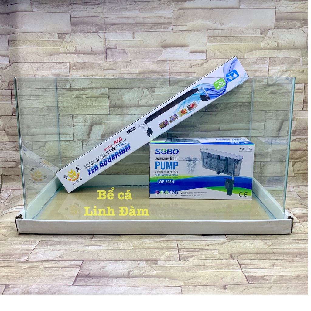 Bể Cá Chữ Nhật 60cm Kính Đúc Bo Góc-Bể Cá Thủy Sinh