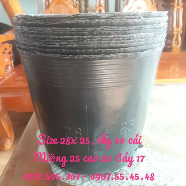 1kg bầu ươm 28x 25 / 40 cái