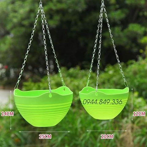 Combo chậu treo 6 màu 6 chậu