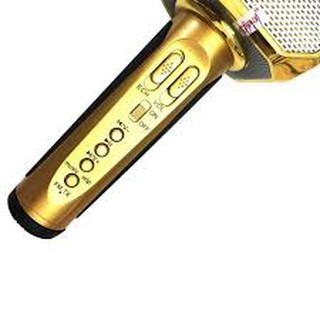 MICRO KÈM LOA BLUETOOTH KARAOKE SD-10