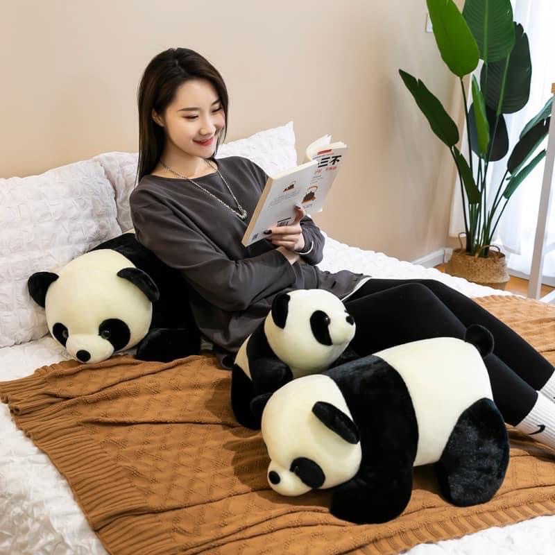 GẤU BÔNG GỐI ÔM GẤU TRÚC
