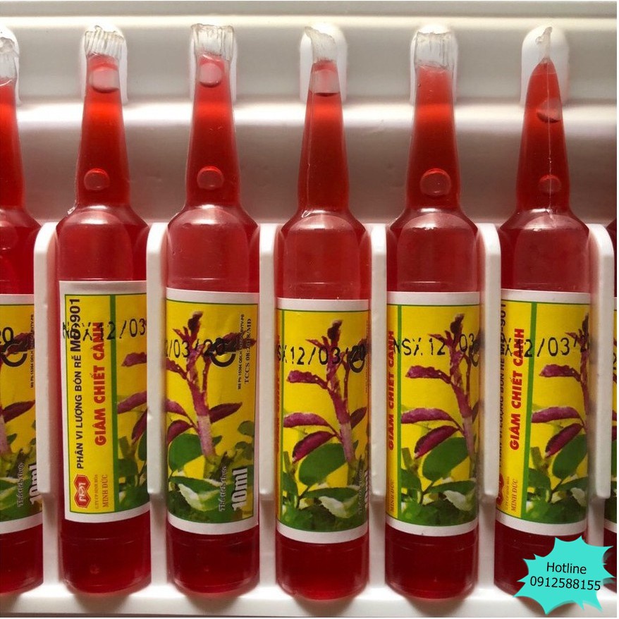 Ống Kích Ra Rễ Chuyên Dùng Cho Giâm, Chiết Cành MĐ 901 Ống 10ml)