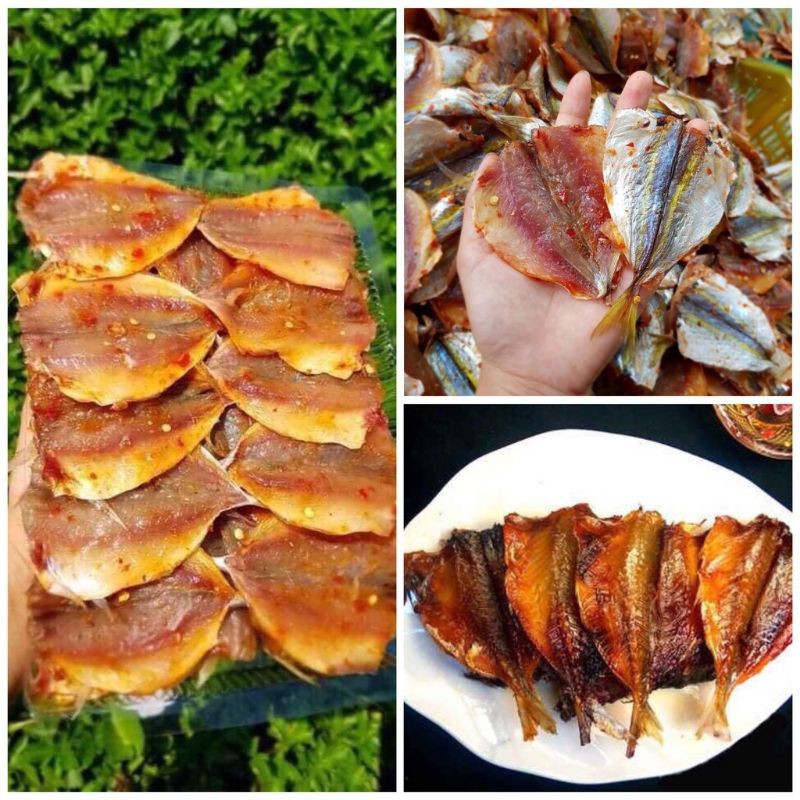 🔥CÁ CHỈ VÀNG 1 NẮNG🔥