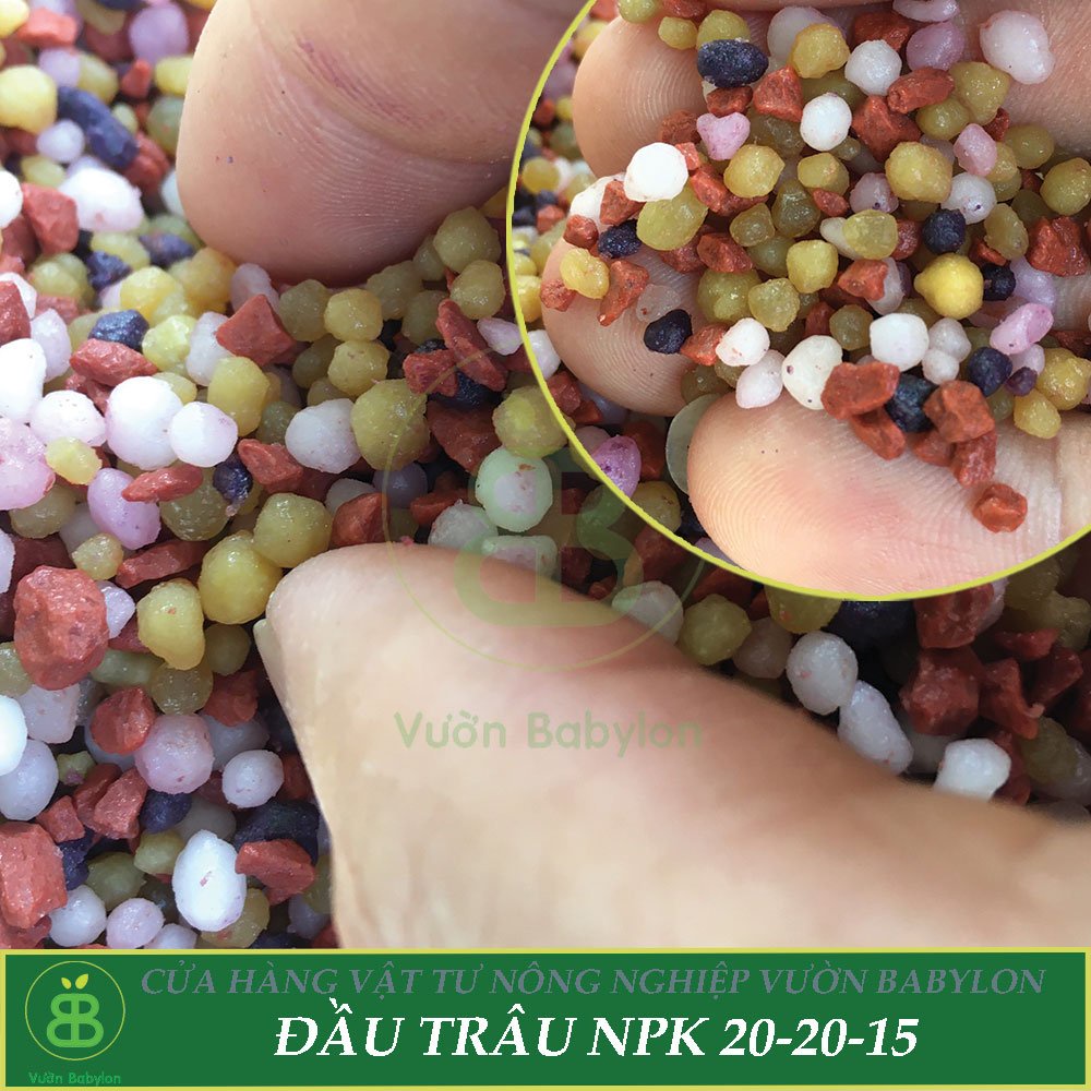 Phân Bón Đầu Trâu NPK 20-20-15 Chuyên Cho Hoa, Cây Cảnh Giúp Cây Ra Hoa, Hoa Đẹp, Lâu Tàn