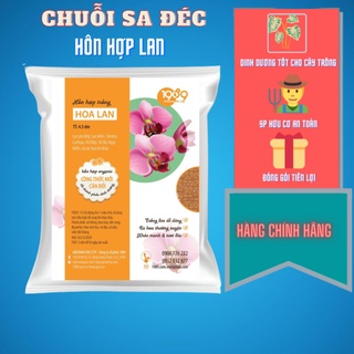 Hỗn hợp giá thể trồng hoa lan - giá thể trồng lan hàng đầu thị trường