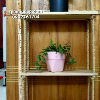 KỆ GỖ DÂY THỪNG treo tường retro, vintage
