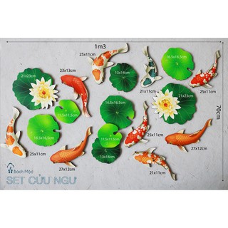 SET CÁ KOI DECOR NHÀ CỬA