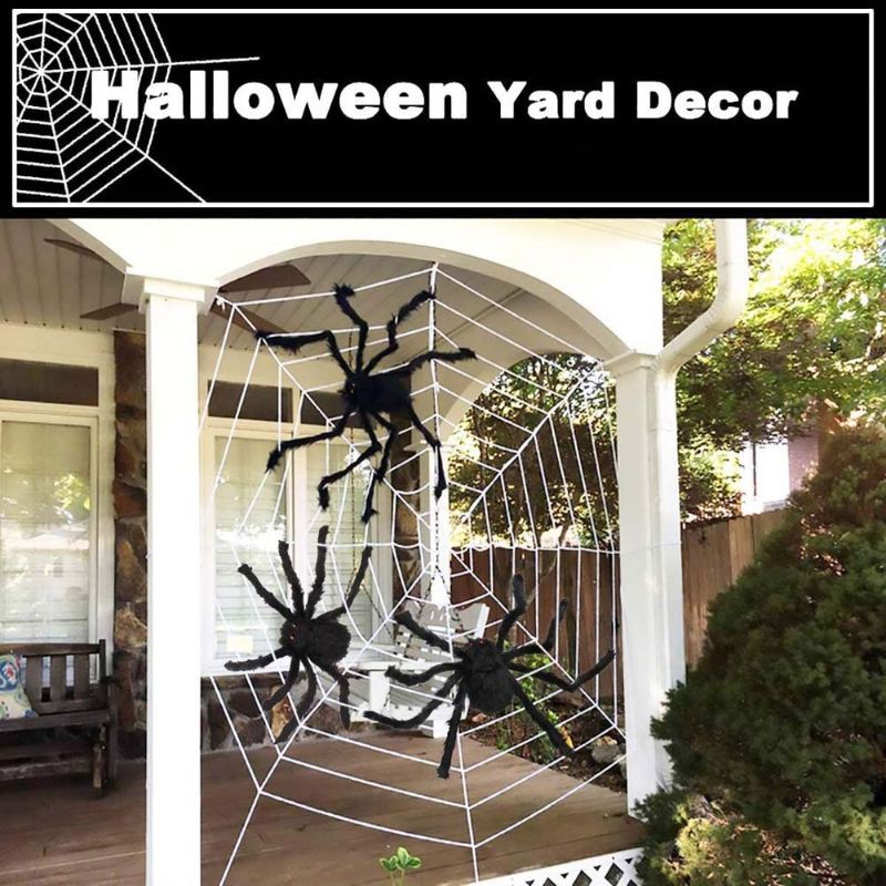 Nhện lông khổng lồ, mạng nhện...trang trí Halloween