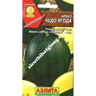 Hạt giống dưa hấu ruột vàng