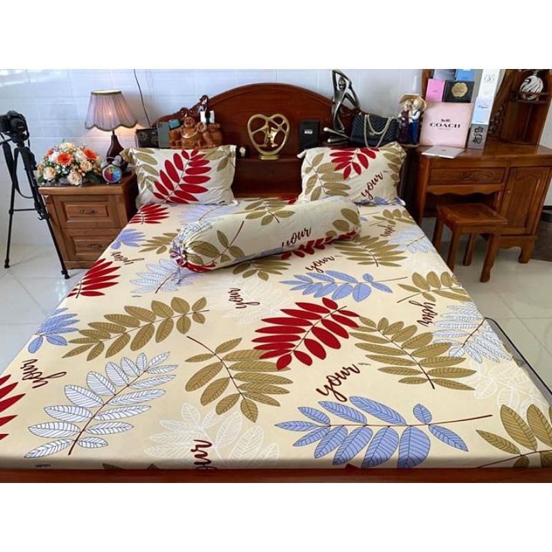 [ RẺ VÔ ĐỊCH] Drap thun lạnh in 3D kích thước 1,6m*2m chân nệm 18cm trở xuống