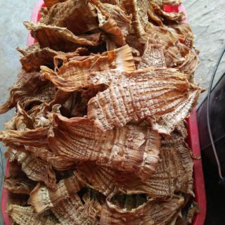 COMBO MĂNG NỨA RỪNG NGHỆ AN