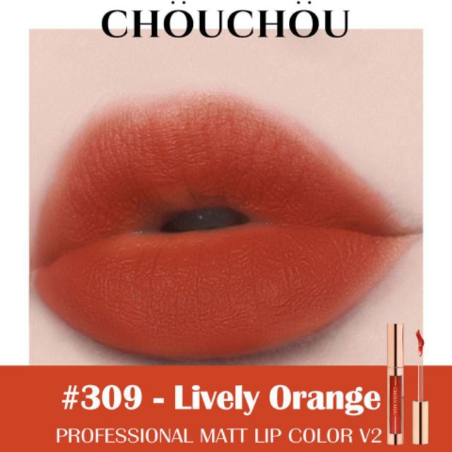 SON KEM LÌ CHOU CHOU PROFESSIONAL MATT LIP COLOR V2