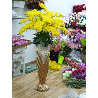 Hoa lan hồ điệp cao su