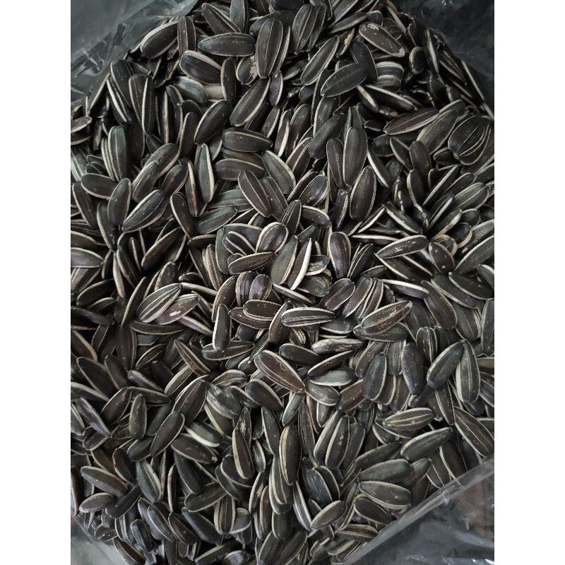 1kg Hướng Dương Nguyên Vị Rang Sẵn Loại 1