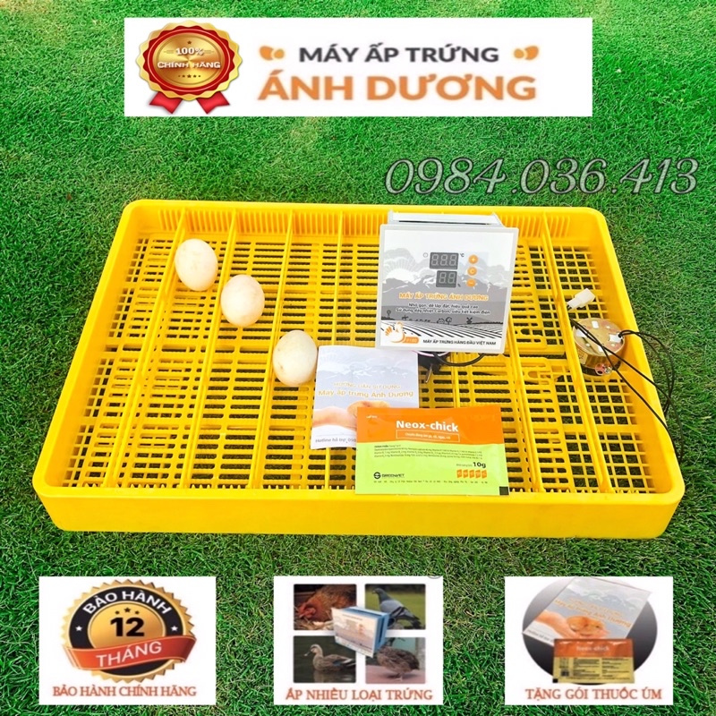 Máy ấp trứng mini Ánh Dương Tự động đảo khay đa năng 60 trứng, ấp được nhiều loại trứng khác nhau
