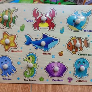 Bảng núm gỗ