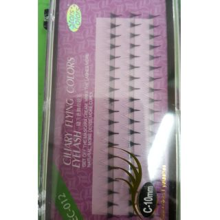 Mi hoa sơn trà 6d mã xec012 cong c