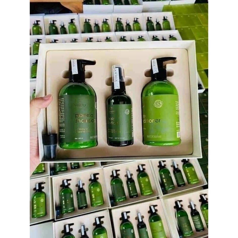 Bộ gội bưởi vijuly