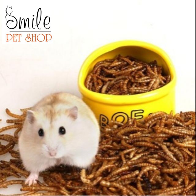 Thức ăn hamster - Sâu rang bơ siêu thơm ngon cho hamster - Smile pet shop