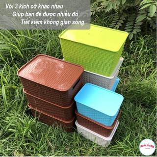 Giỏ đựng đồ Song Long 2574