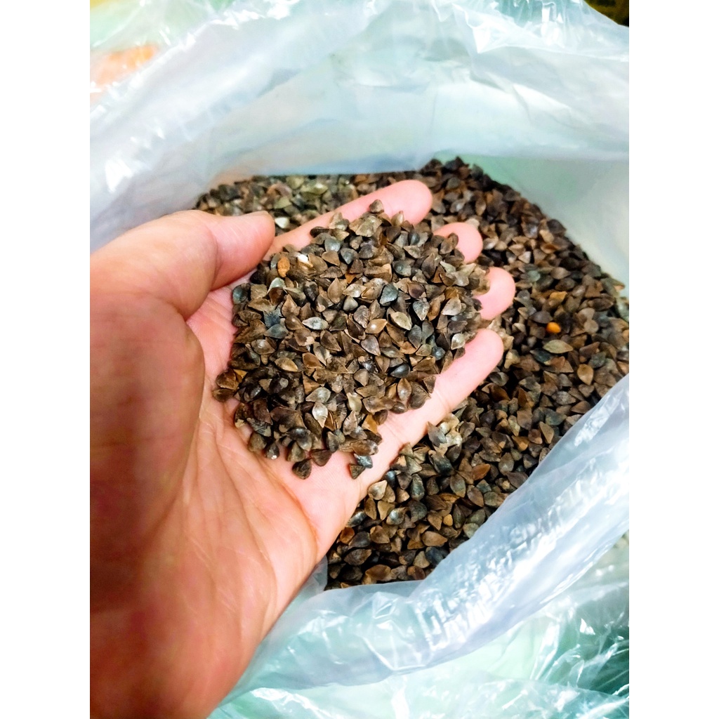 Hạt ba khía 500gr cho hamster, sóc, vẹt, chim cảnh