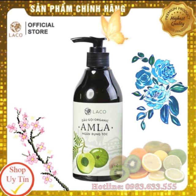 🔥 Chính Hãng 🔥 Dầu gội amla ⚡ trị rụng tóc, nấm đầu, gàu, ngứa chỉ sau 2 tuần, thảo dược cực an toàn cho cả mẹ bầu ⚡