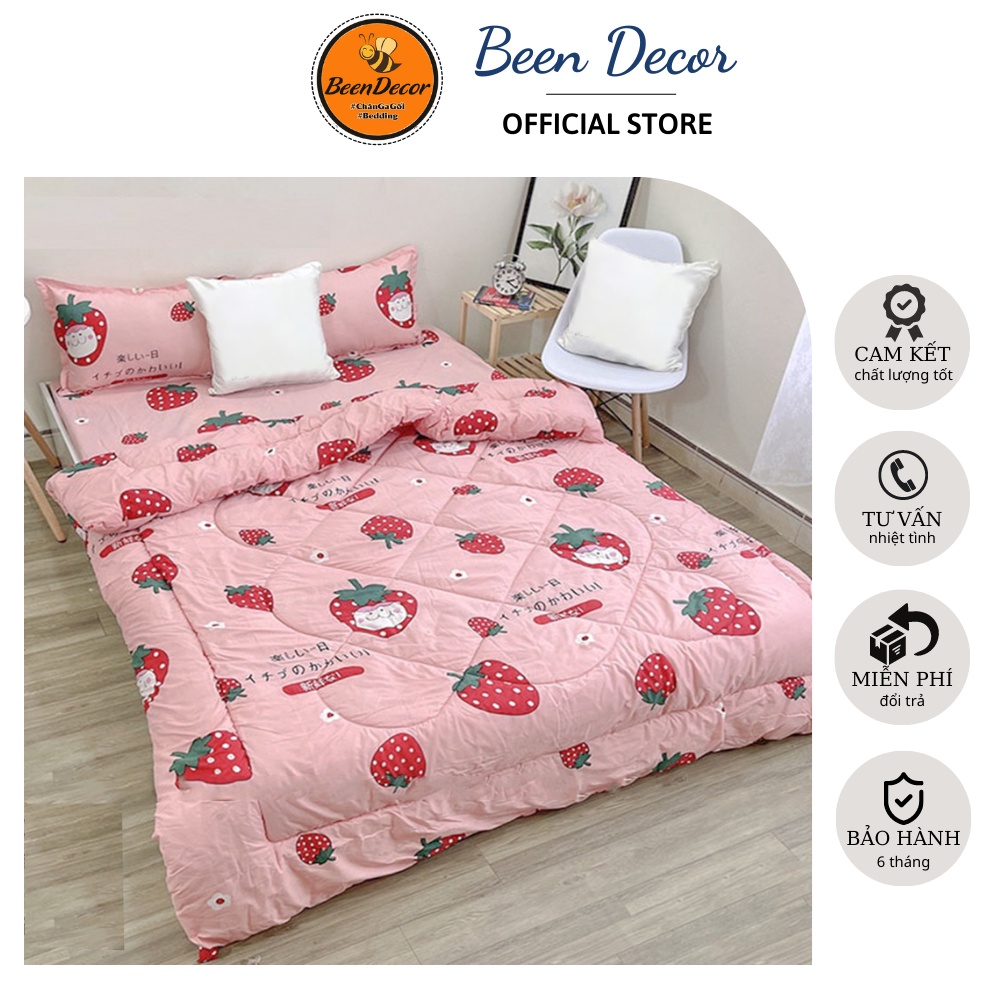 CHĂN PHAO, MỀN PHAO có kèm vỏ gối Cotton Poly hàng đẹp, Mẫu Dây Nhật ( tùy phân loại nha)