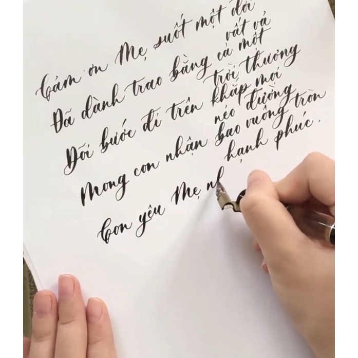 Ngòi bút viết chuyên dụng Calligraphy - Ngòi G Zebra Nhật Bản
