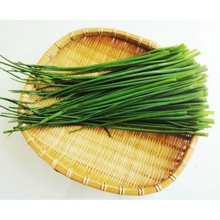 Hạt Giống Hẹ Cao Sản (2g)