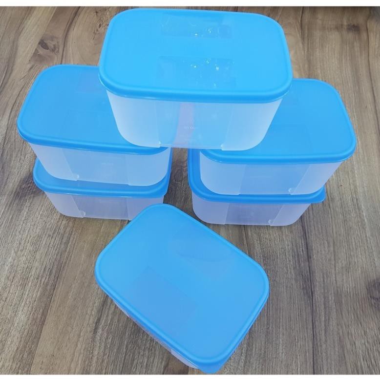 💥 GIẢM GIÁ GỐC 💥 Hộp trữ đông Freezermate 650ml 🥩 Freeship Extra 🥩Tupperware