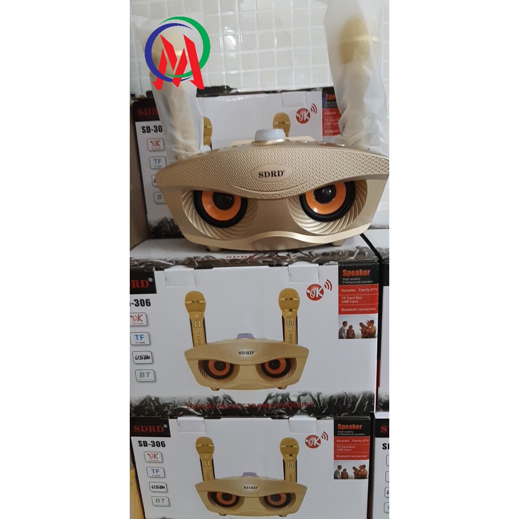 Loa bluetooth karaoke sd306 kèm 2 mic