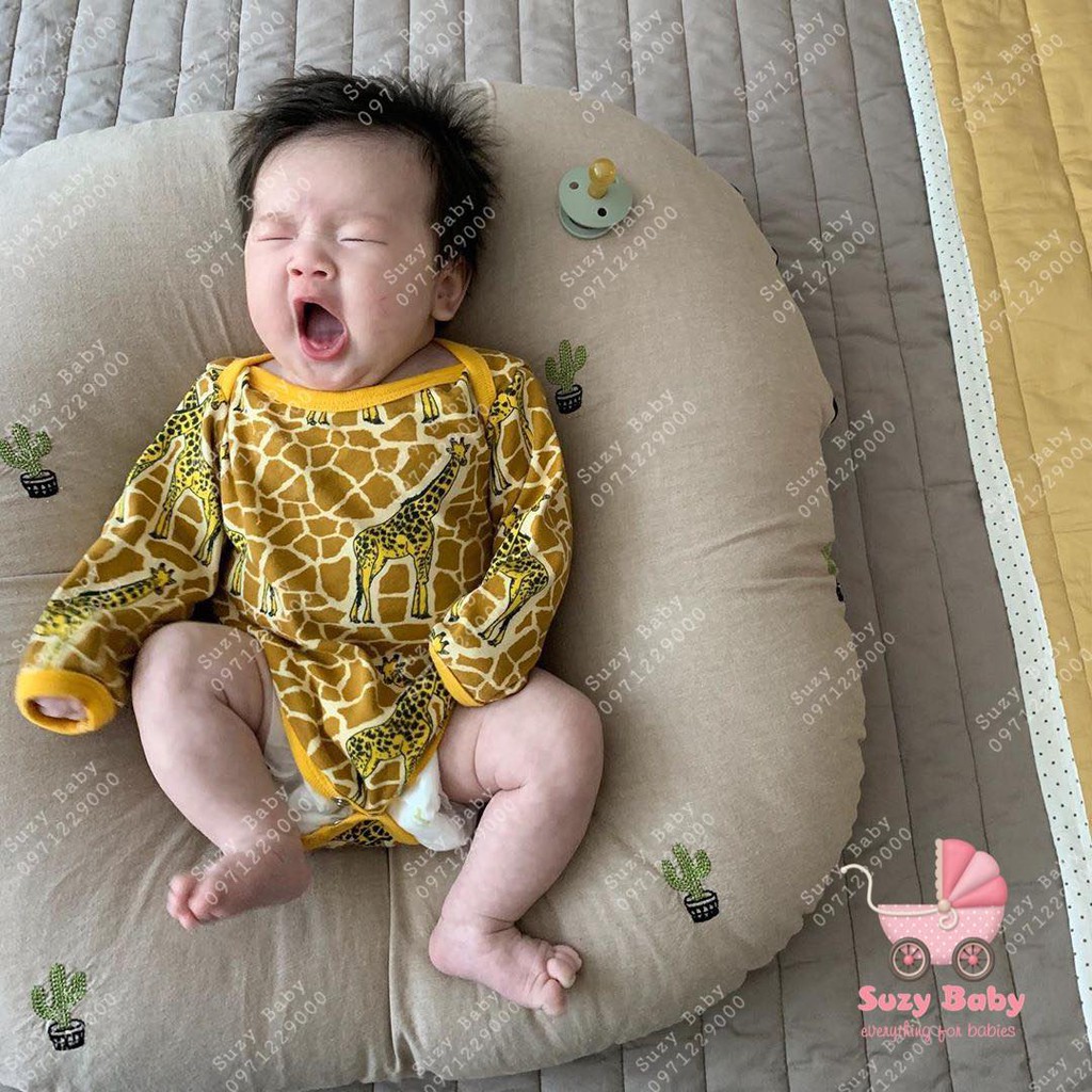 GỐI CHỐNG TRÀO NGƯỢC ROTOTO BEBE