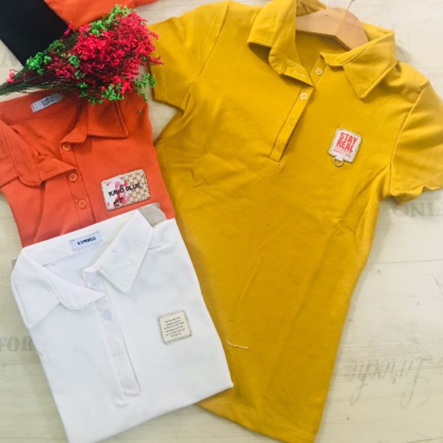 Áo thun nữ cổ đức thái lan