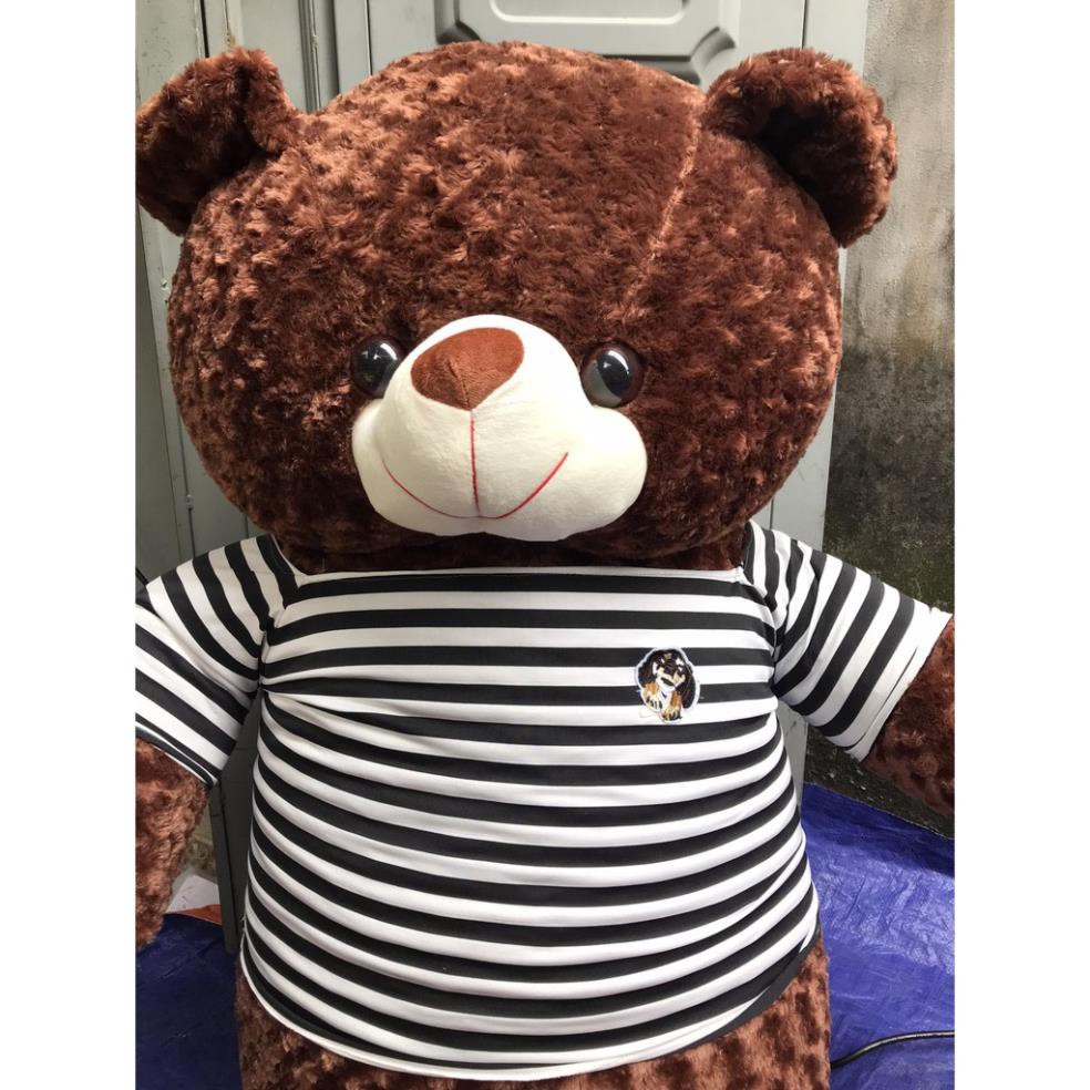 [HÀNG LOẠI ĐẸP] Gấu Bông Teddy 1m8 [ BÁN BỞI NHÀ SẢN XUẤT ]  siêu đáng yêu ôm siêu phê