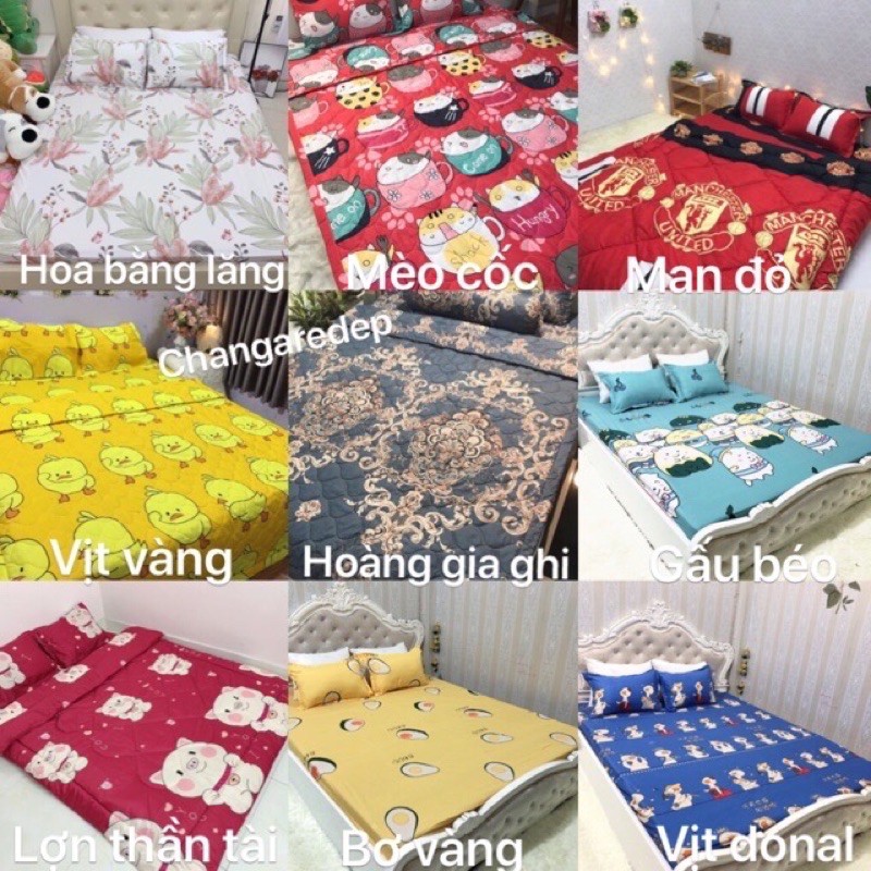 (Xả Kho 3 ngày) Bộ ga giường và vỏ gối poly 1m2/ 1m6, 1m8, 2mx2m2,chat chọn mẫu