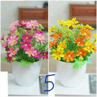 Combo 2 chậu hoa để bàn- hoa giả