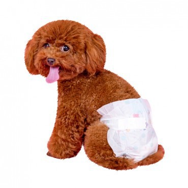 Bỉm tả dành cho thú cưng petsoft,1 gói 12 miếng.