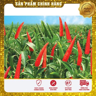 Hạt Giống Ớt Chỉ Thiên(30 hạt)