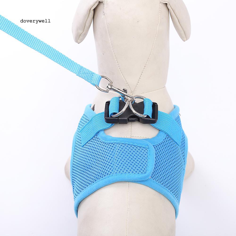 Vòng cổ dắt thú cưng nhiều màu sắc