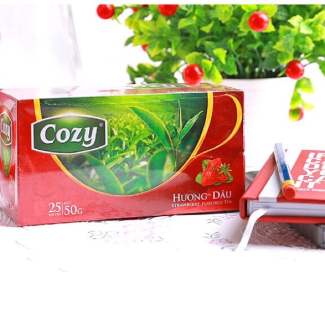 Trà túi lọc COZY các vị 20 túi x 2g | BigBuy360 - bigbuy360.vn