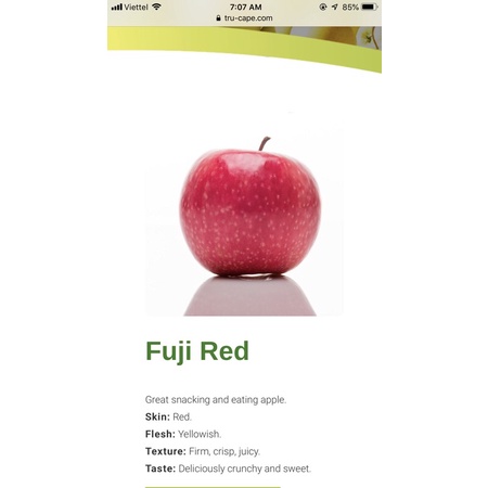 Táo Fuji Nam Phi (Túi 3Kg) - Hàng mới | BigBuy360 - bigbuy360.vn