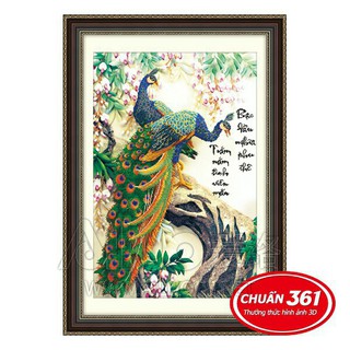 Tranh Thêu Đôi Công  53280 chưa thêu