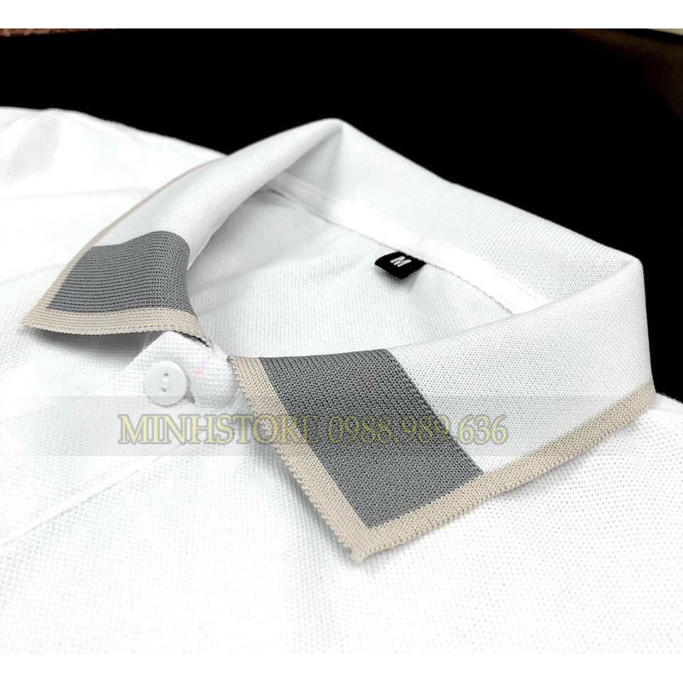 Áo polo nam GẤU Áo polo nam đẹp Chất liệu cotton mềm mịn, dầy dặn, hoạt động thoải mái, thấm hút mồ hôi tốt | BigBuy360 - bigbuy360.vn