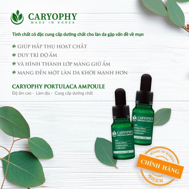 [Chính Hãng] Tinh Chất Giảm Mụn Caryophy Ampoule 10ml