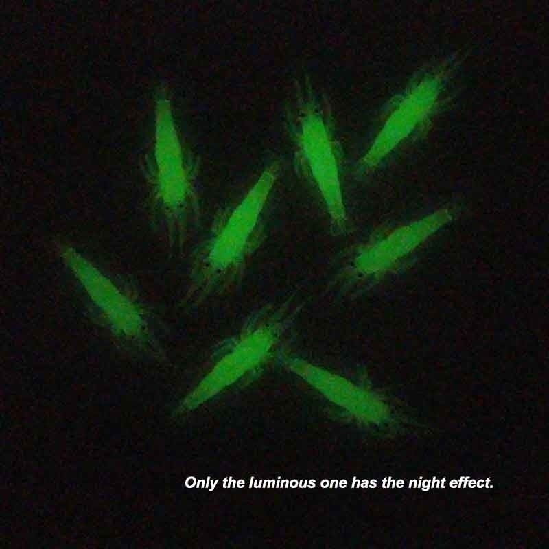 10 Mồi Tôm Giả Câu Cá Phát Sáng, Kích Thước 4cm