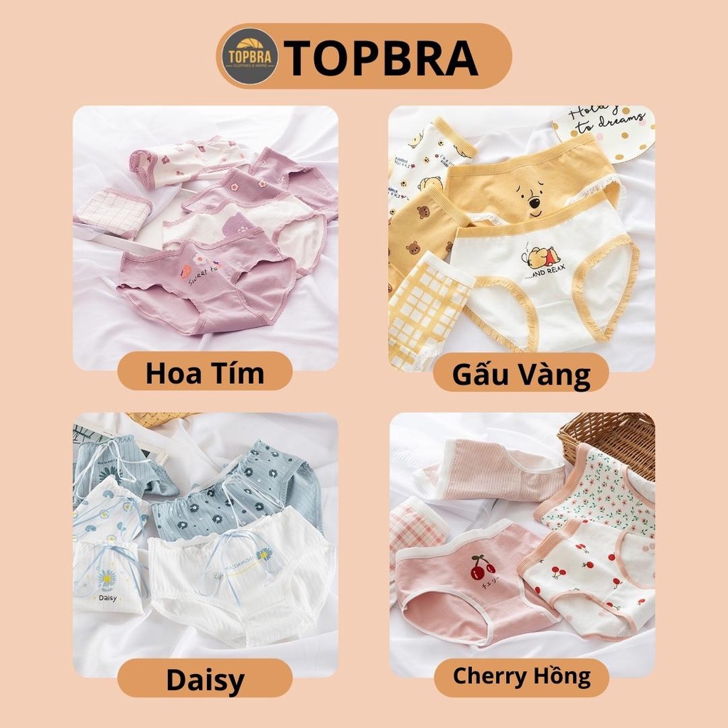 SET 5 Quần Lót Cotton Nữ Nâng Mông Thông Hơi Kháng Khuẩn Hút Mồ Hôi Hoạ Tiết Dễ Thương TOPBRA