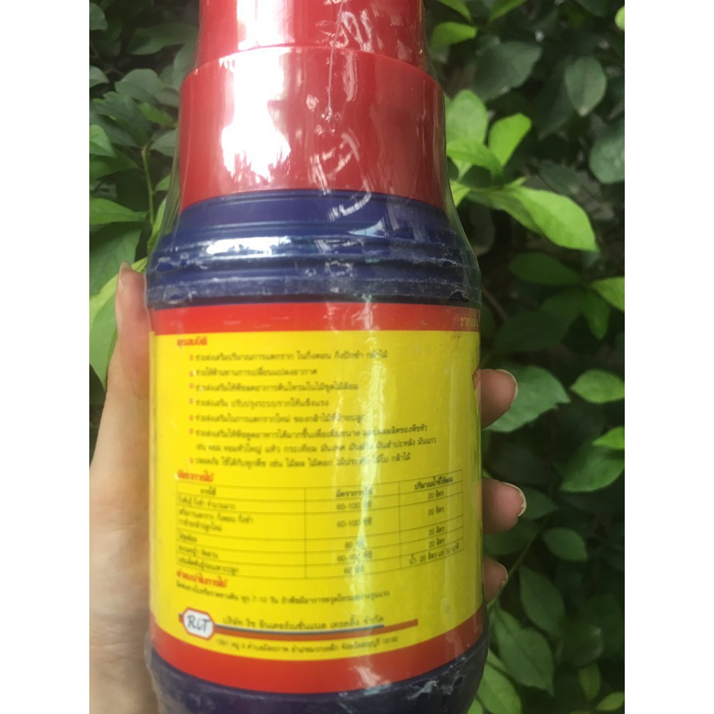 [GIÁ SỐC] [NGUYÊN CHAI] Vitamin B1 (Chai 500ml)