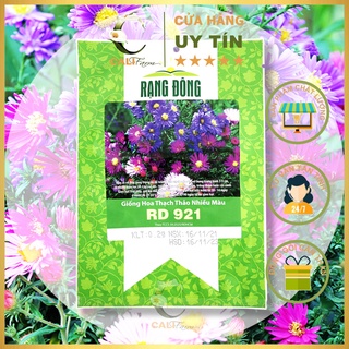Hạt Giống Hoa Thạch Thảo Nhiều Màu RD 921